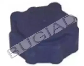 bugiad-bsp21157