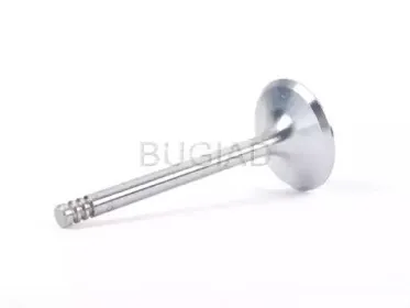 bugiad-bsp21548