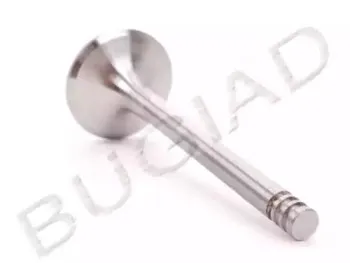 bugiad-bsp21768