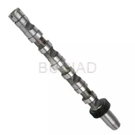 bugiad-bsp23271