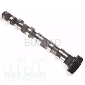 bugiad-bsp23272