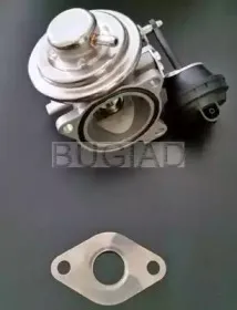 bugiad-54022