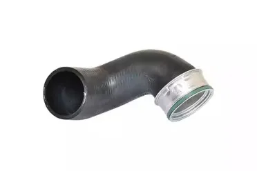 81612 BUGIAD Трубка нагнетаемого воздуха