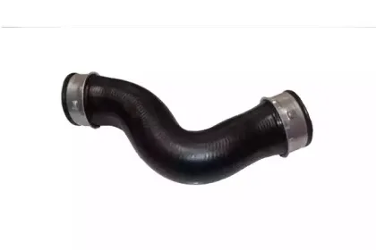 81676 BUGIAD Трубка нагнетаемого воздуха