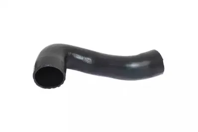 85644 BUGIAD Трубка нагнетаемого воздуха