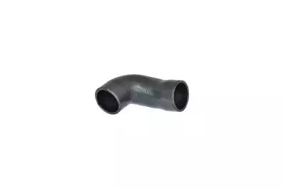 86614 BUGIAD Трубка нагнетаемого воздуха