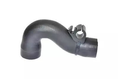 86655 BUGIAD Трубка нагнетаемого воздуха