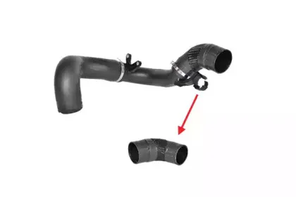 88558 BUGIAD Трубка нагнетаемого воздуха