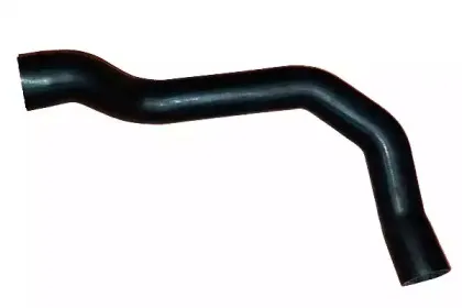 bugiad-88655