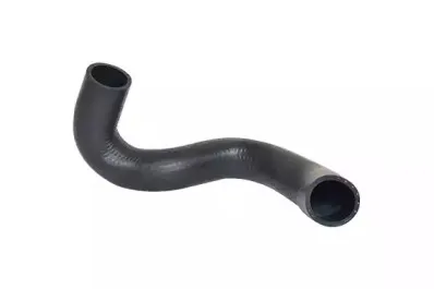 88698 BUGIAD Трубка нагнетаемого воздуха