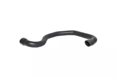 88768 BUGIAD Трубка нагнетаемого воздуха