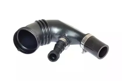 88801 BUGIAD Трубка нагнетаемого воздуха