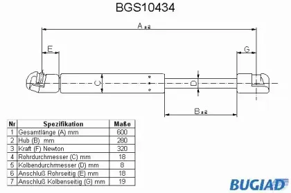 bugiad-bgs10434