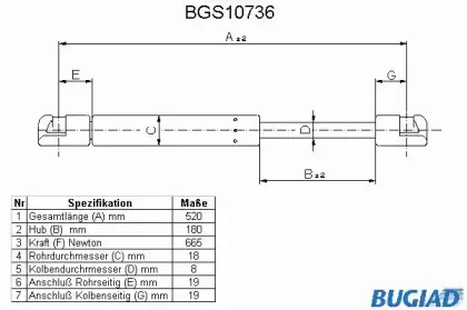 bugiad-bgs10736