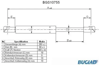 bugiad-bgs10755