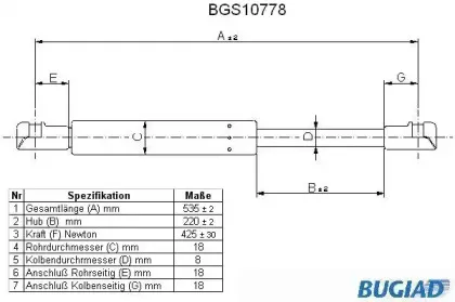 bugiad-bgs10778