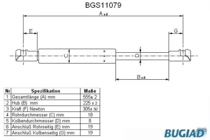 bugiad-bgs11079