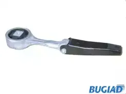 bugiad-bsp20222
