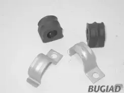 bugiad-bsp20251