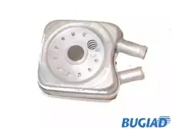 bugiad-bsp20296