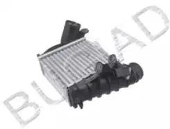 bugiad-bsp20538