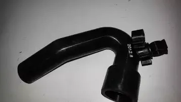 bugiad-bsp21593