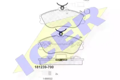 181239-700 ICER