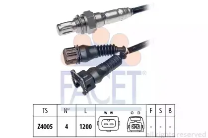 facet-107041