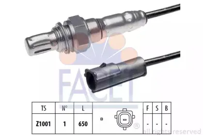 facet-107046