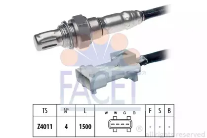 facet-107066