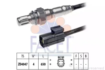 facet-107205
