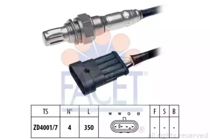 facet-107213
