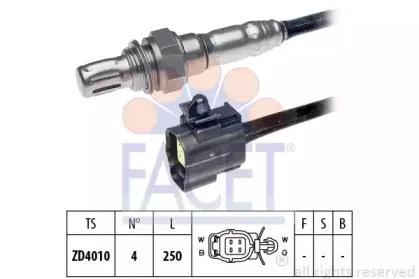 facet-107232