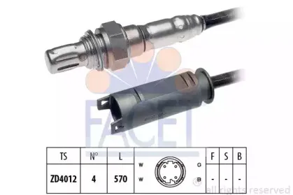facet-107253