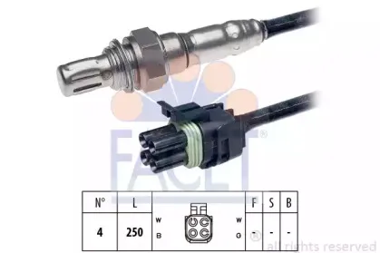 facet-107269