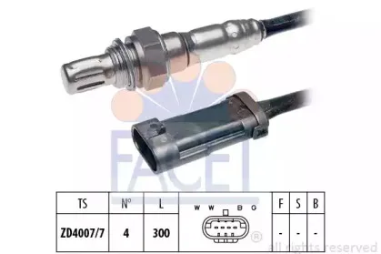 facet-107281