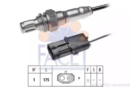 facet-107288