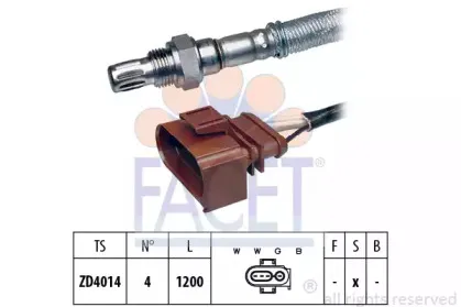 facet-107304