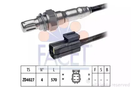 facet-107309
