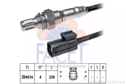 facet-107311