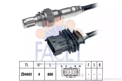 facet-107339