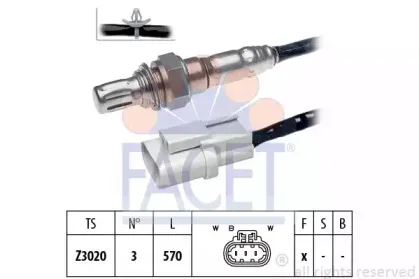 facet-107398