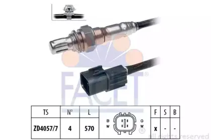 facet-107510