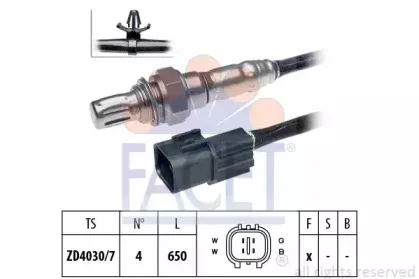 facet-107542