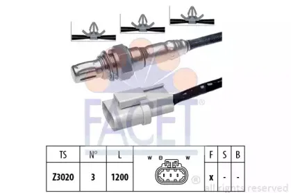 facet-107552