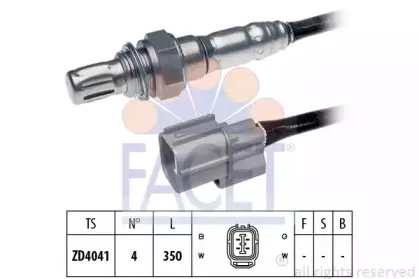 facet-107572