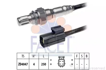 facet-107625