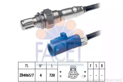 facet-107678