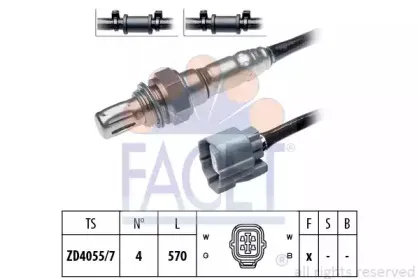 facet-107742