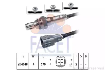 facet-107848